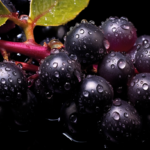 スーパーフード・アサイーベリーの特徴と注目成分、期待される効果