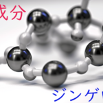 注目成分・ジンゲロールの特徴と期待される効果