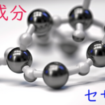 注目成分・セサミンの特徴と期待される効果