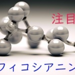 注目成分・フィコシアニンの特徴と期待される効果