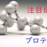注目成分・プロテインの特徴と期待される効果