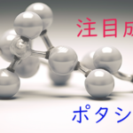 注目成分・ポタシウムの特徴と期待される効果