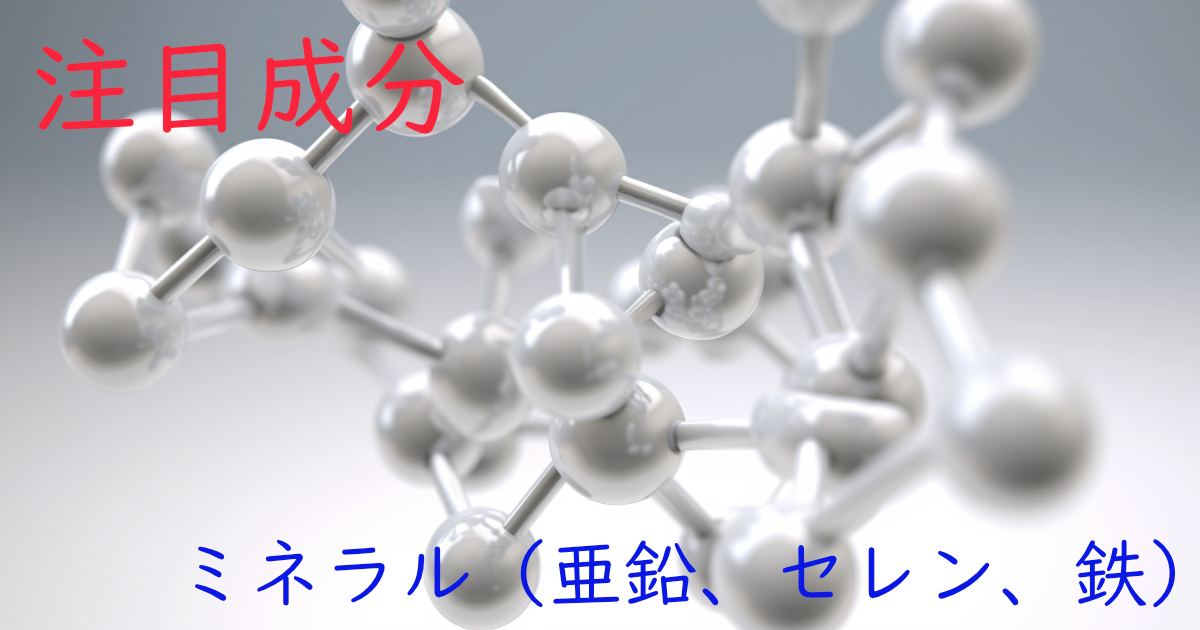 注目成分・ミネラル（亜鉛、セレン、鉄など）の特徴と期待される効果