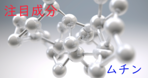 注目成分・ムチンの特徴と期待される効果