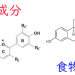注目成分・食物繊維の特徴と期待される効果