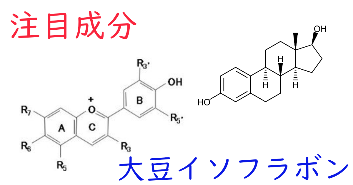 注目成分・大豆イソフラボンの特徴と期待される効果