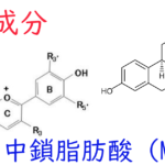 注目成分・中鎖脂肪酸（MCTs）の特徴と期待される効果