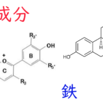 注目成分・鉄の特徴と期待される効果