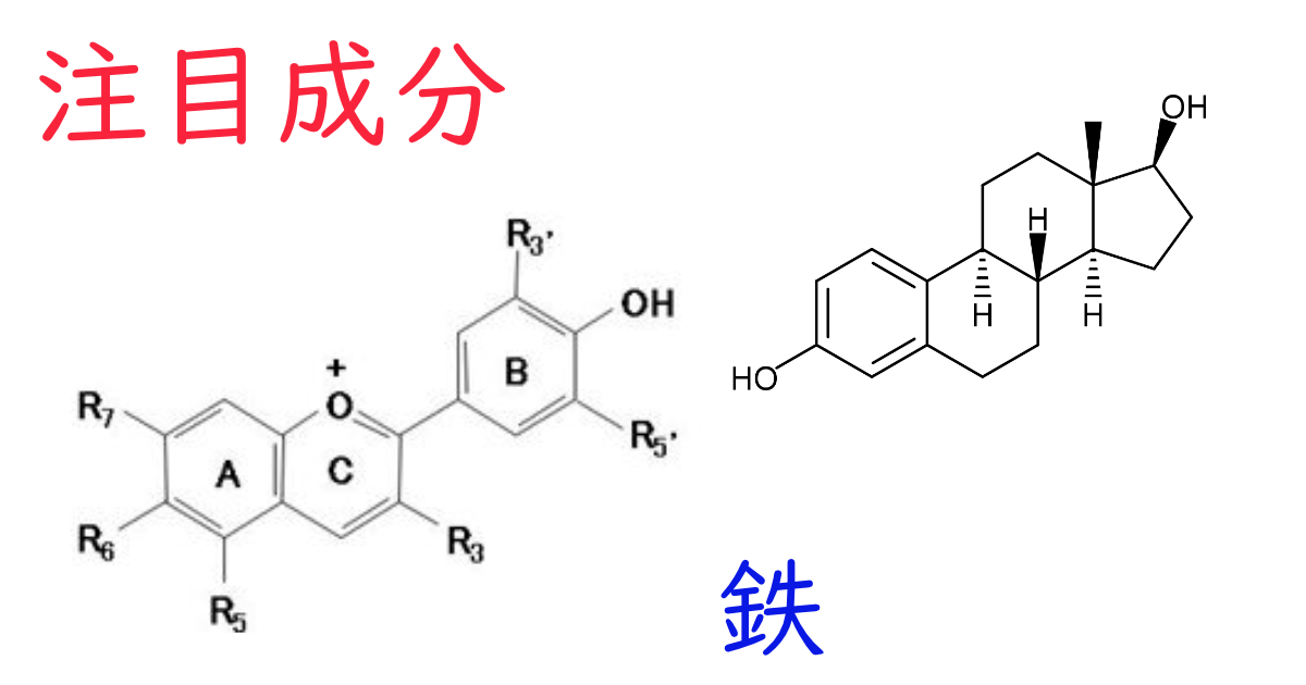 注目成分・鉄の特徴と期待される効果