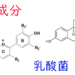 注目成分・乳酸菌の特徴と期待される効果