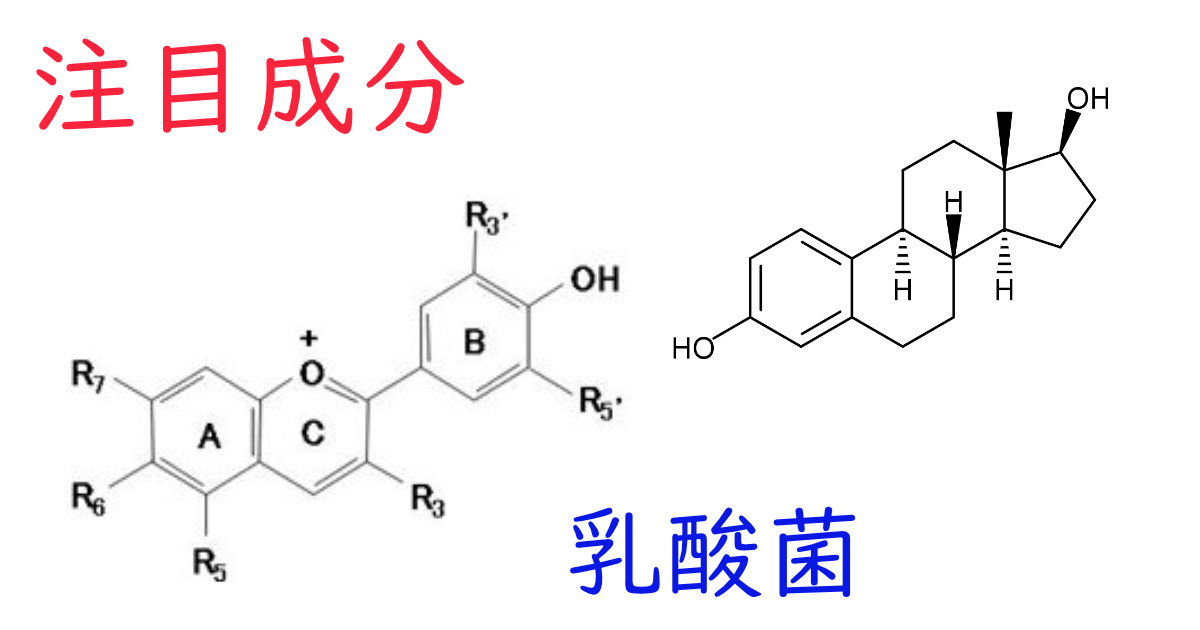 注目成分・乳酸菌の特徴と期待される効果