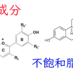注目成分・不飽和脂肪酸の特徴と期待される効果